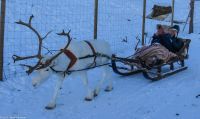 Alta - Sami Siida &ndash; &copy; Martin Büchner (Eberhardt TRAVEL)