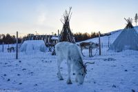 Alta - Sami Siida &ndash; &copy; Martin Büchner (Eberhardt TRAVEL)