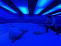 Tromsö Polarmuseum  &ndash; &copy; Sabine Letzybyll (Eberhardt TRAVEL)