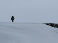 Hammerfest  &ndash; &copy; Sabine Letzybyll (Eberhardt TRAVEL)