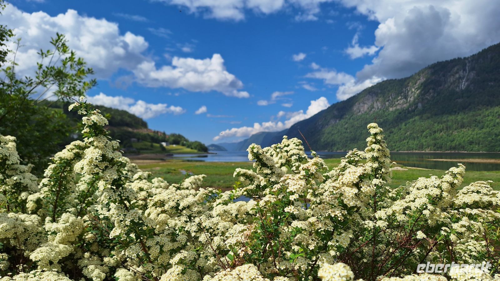 Vinjefjord &ndash; &copy; Sinah Witzig (Eberhardt TRAVEL)