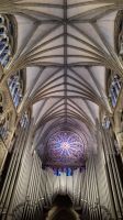 Trondheim: Nidaros Dom &ndash; &copy; Sinah Witzig (Eberhardt TRAVEL)