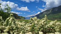 Vinjefjord &ndash; &copy; Sinah Witzig (Eberhardt TRAVEL)