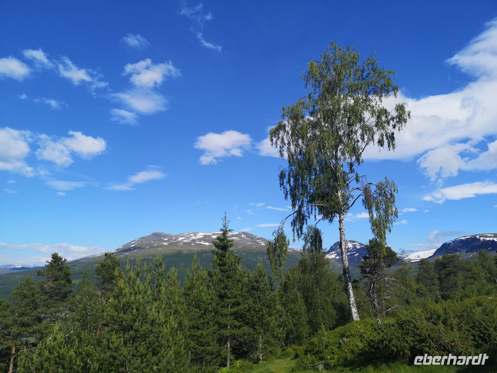 Utvikfjell &ndash; &copy; Marta Rass (Eberhardt TRAVEL)