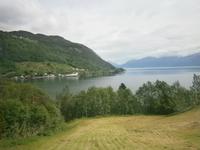 Hardangerfjord