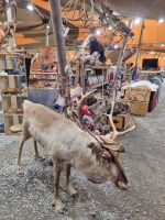 Sami-Camp Heia &ndash; &copy; Katrin Deutschbein (Eberhardt TRAVEL)