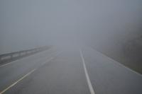 Nebel !!! &ndash; &copy; Martin Büchner (Eberhardt TRAVEL)