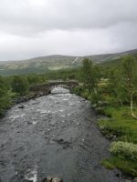 Dovrefjell &ndash; &copy; Marta Rass (Eberhardt TRAVEL)