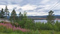 Höga Kusten bron &ndash; &copy; Sylvia Führ (Eberhardt TRAVEL)