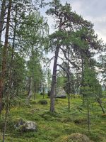 20240728_095103.jpg &ndash; &copy; Mariele Koeckeritz (Eberhardt TRAVEL)