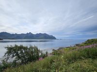 Lofoten Panorama &ndash; &copy; Mariele Koeckeritz (Eberhardt TRAVEL)