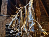 Trockenfisch &ndash; &copy; Mariele Koeckeritz (Eberhardt TRAVEL)