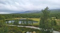 Dovrefjell &ndash; &copy; Sinah Witzig (Eberhardt TRAVEL)