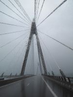Nichts wie Regen 