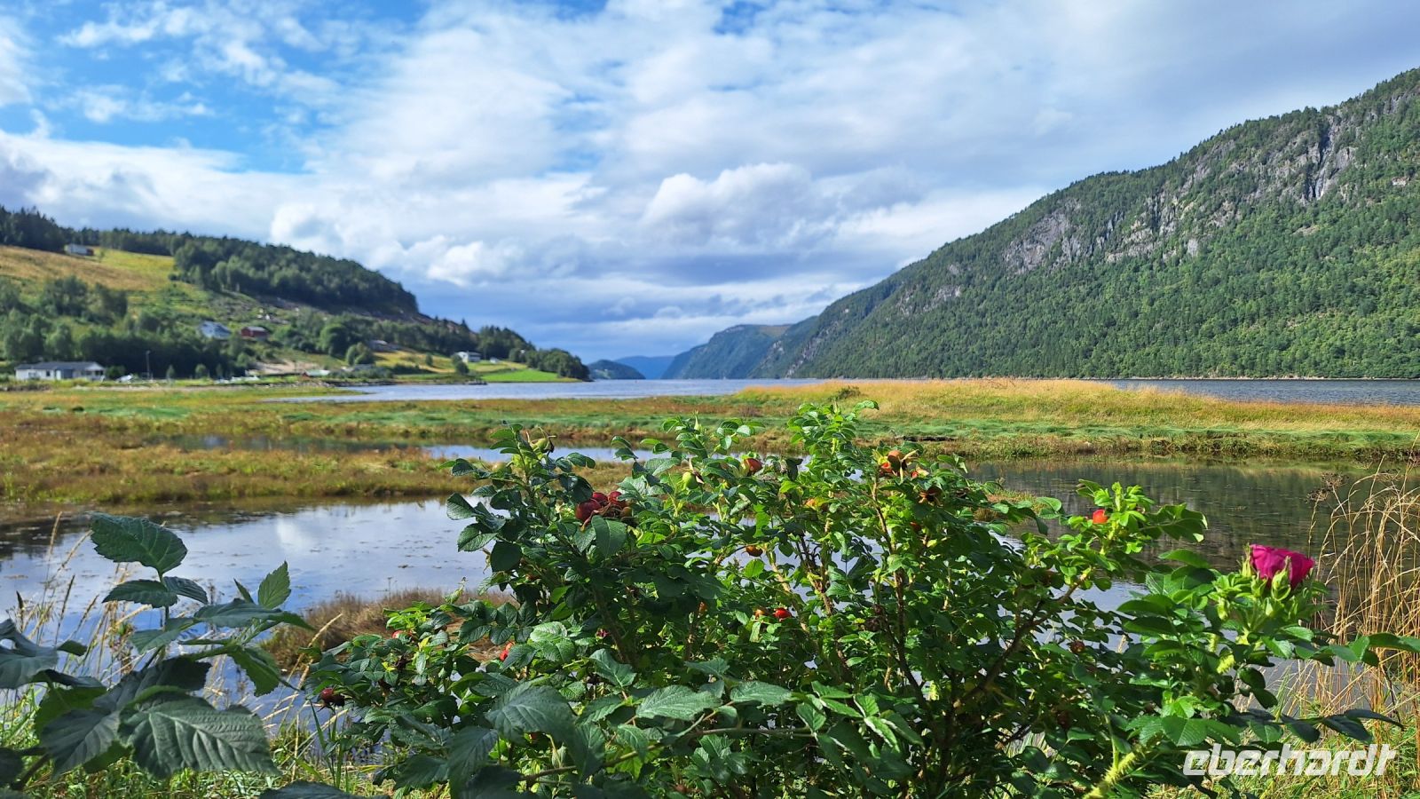 Vinjefjord &ndash; &copy; Sinah Witzig (Eberhardt TRAVEL)