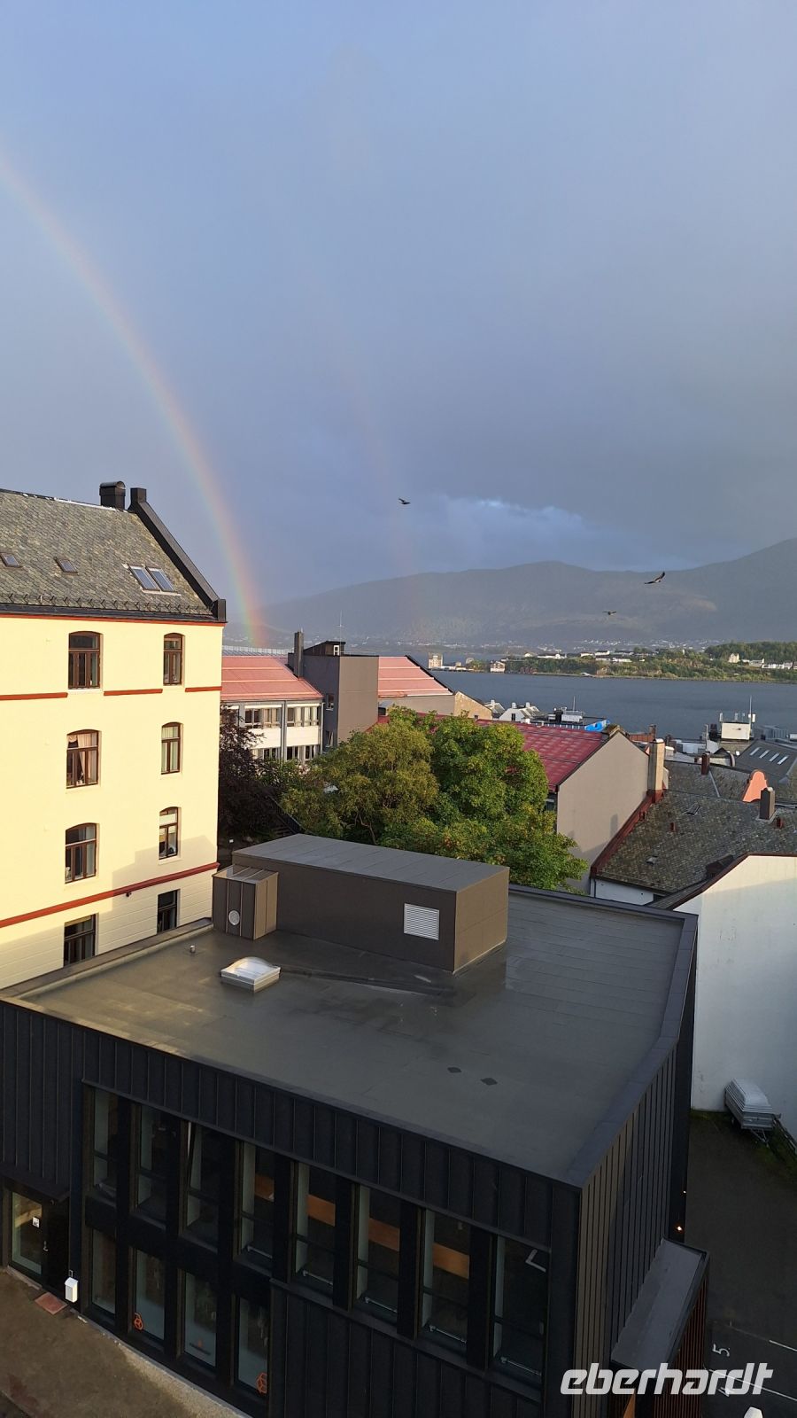 Ålesund &ndash; &copy; Sinah Witzig (Eberhardt TRAVEL)