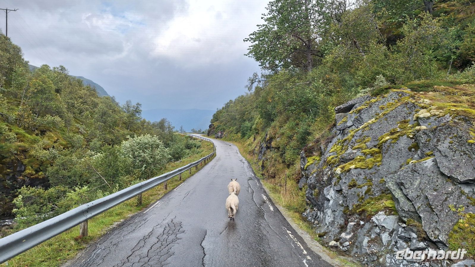 Sognefjell &ndash; &copy; Sinah Witzig (Eberhardt TRAVEL)