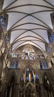 Trondheim: Nidaros Dom &ndash; &copy; Sinah Witzig (Eberhardt TRAVEL)