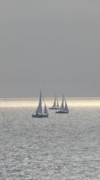 8 allein auf hoher See.....jpg