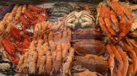 2 am Fischmarkt.jpg &ndash; &copy; Michael Rass (Eberhardt TRAVEL)