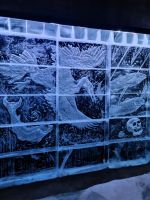magic icebar Svolvaer (11) &ndash; &copy; Marcus Hasselhorst (Eberhardt TRAVEL)