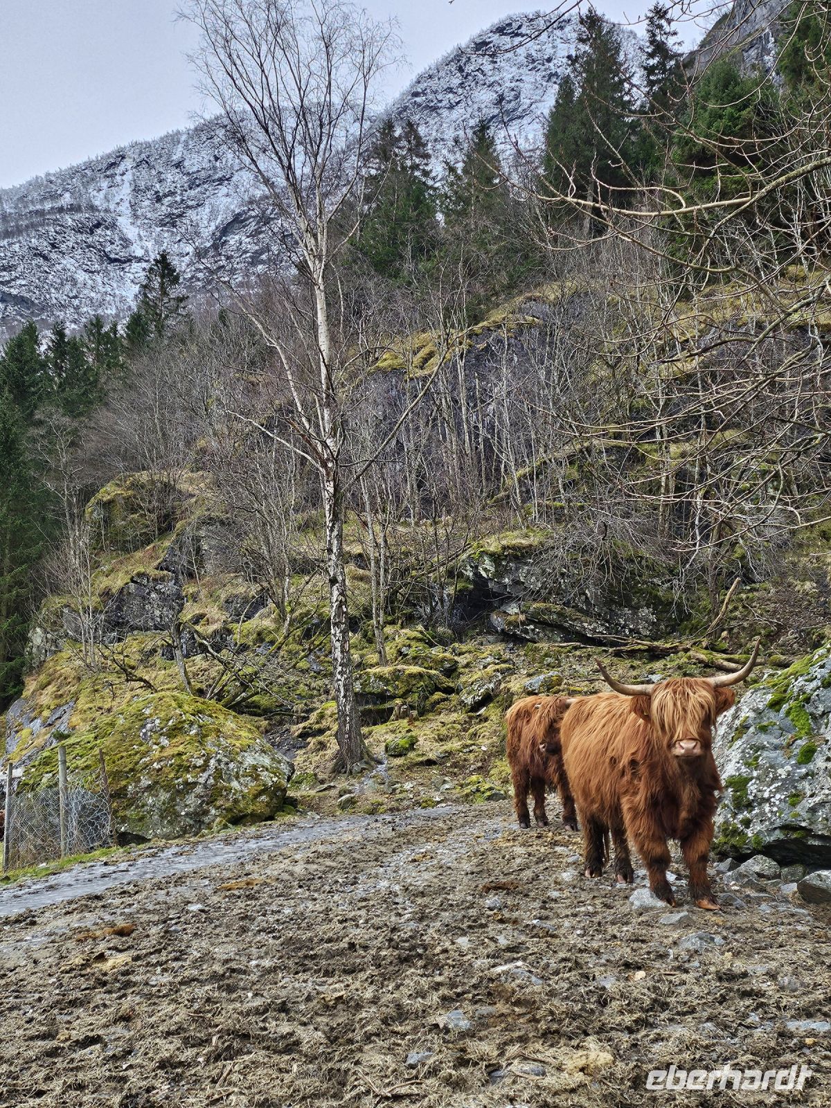 Hotelnachbarn &ndash; &copy; Mariele Legler (Eberhardt TRAVEL)