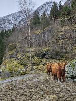 Hotelnachbarn &ndash; &copy; Mariele Legler (Eberhardt TRAVEL)