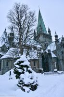 Trondheim - UNESCO Weltkulturerbe Nidarosdom &ndash; &copy; Martin Büchner (Eberhardt TRAVEL)