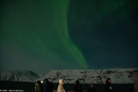 Båtsfjord - wer zeigt sich denn da - die schüchterne Lady Aurora &ndash; &copy; Martin Büchner (Eberhardt TRAVEL)