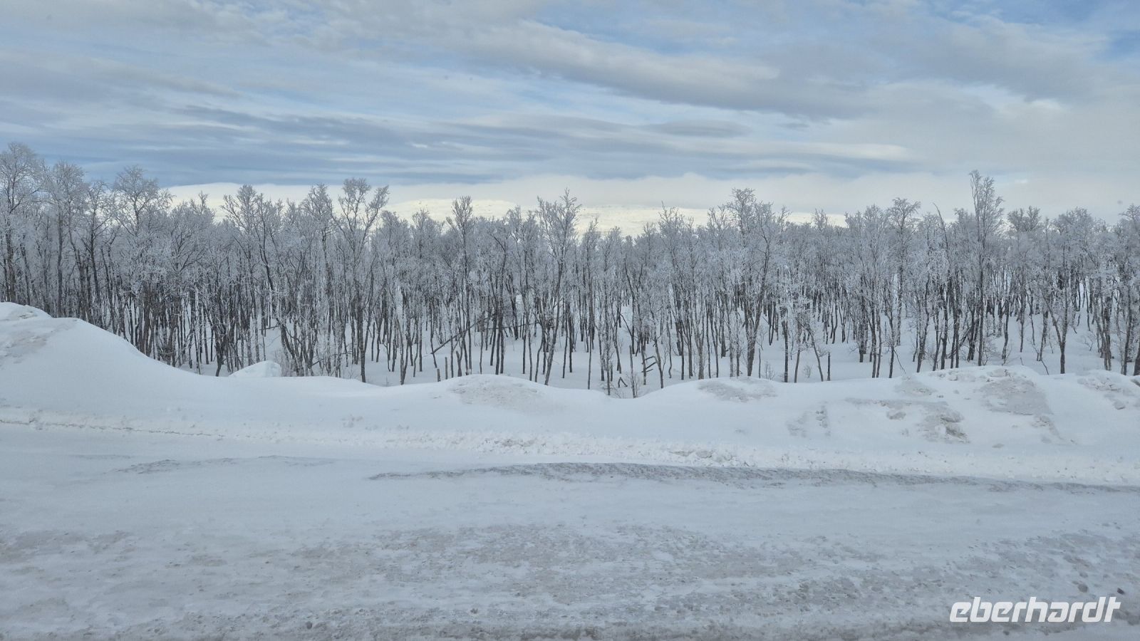 Abisko Nationalpark &ndash; &copy; Sinah Witzig (Eberhardt TRAVEL)