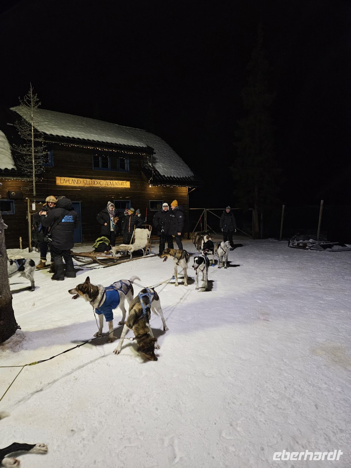Huskyschlitten-Fahrt &ndash; &copy; Sinah Witzig (Eberhardt TRAVEL)