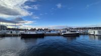 Bodø &ndash; &copy; Sinah Witzig (Eberhardt TRAVEL)