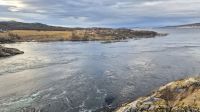 Saltstraumen &ndash; &copy; Sinah Witzig (Eberhardt TRAVEL)