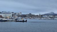 Bodø &ndash; &copy; Sinah Witzig (Eberhardt TRAVEL)