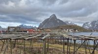 Reine &ndash; &copy; Sinah Witzig (Eberhardt TRAVEL)