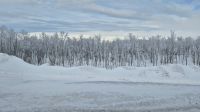 Abisko Nationalpark &ndash; &copy; Sinah Witzig (Eberhardt TRAVEL)