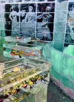 Tag 9 - Magic ICE Bar, Svolvær &ndash; &copy; Christin Kuschka (Eberhardt TRAVEL)