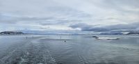 Risøyrenna, ausgebackerte Fahrtrinne &ndash; &copy; Ria Heilmann (Eberhardt TRAVEL)