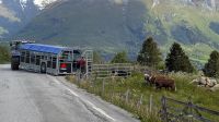 20250531_19 Freiheit.jpg &ndash; &copy; Michael Rass (Eberhardt TRAVEL)