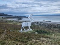 Porsangerfjord  &ndash; &copy; Katrin Deutschbein (Eberhardt TRAVEL)