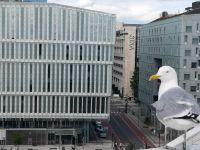 Ich habe heute ein Foto für dich ..... &ndash; &copy; Marta Rass (Eberhardt TRAVEL)