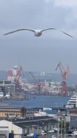 20250628_14 Abschied von Skandinavien.jpg &ndash; &copy; Michael Rass (Eberhardt TRAVEL)