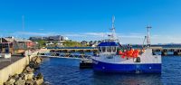 Insel Magerøya - Honningsvåg &ndash; &copy; Martin Büchner (Eberhardt TRAVEL)