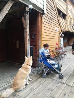 Auch das ist Brygge    -  Bergen  &ndash; &copy; Marta Rass (Eberhardt TRAVEL)