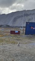 Kleiner Polarfuchs in Ny Alesund  &ndash; &copy; Ria Heilmann (Eberhardt TRAVEL)