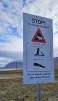 Ny Alesund, weiter nur in Begleitung.. &ndash; &copy; Ria Heilmann (Eberhardt TRAVEL)