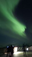 Hurtigruten-Kreuzfahrt // Nordlichter