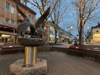Seeadler in Bodoe &ndash; &copy; Sabine Letzybyll (Eberhardt TRAVEL)