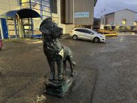Honningsvåg - Bambse der Marinehund &ndash; &copy; Sabine Letzybyll (Eberhardt TRAVEL)