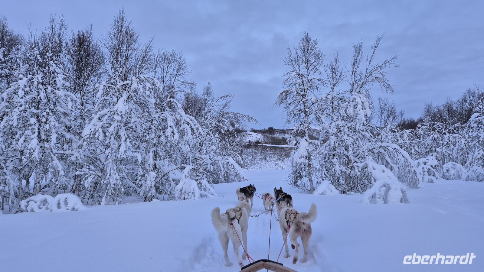 Senja Husky Adventure &ndash; &copy; Sinah Witzig (Eberhardt TRAVEL)